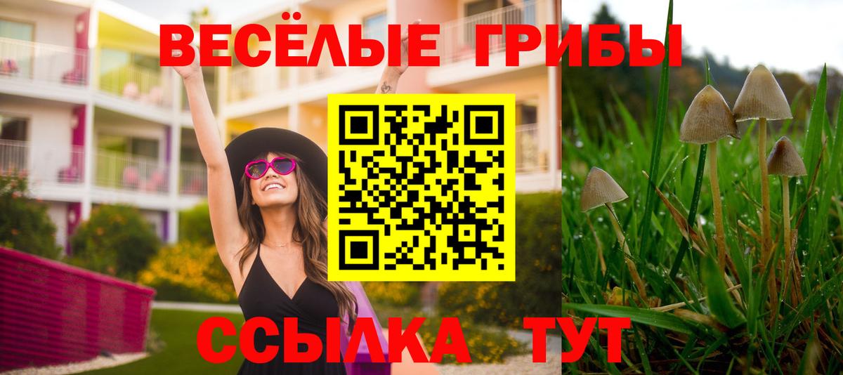 Галлюциногенные грибы ЛСД  цены наркотик  Чернушка  Вход с VPN  Псилоцибиновые грибы мухоморы 