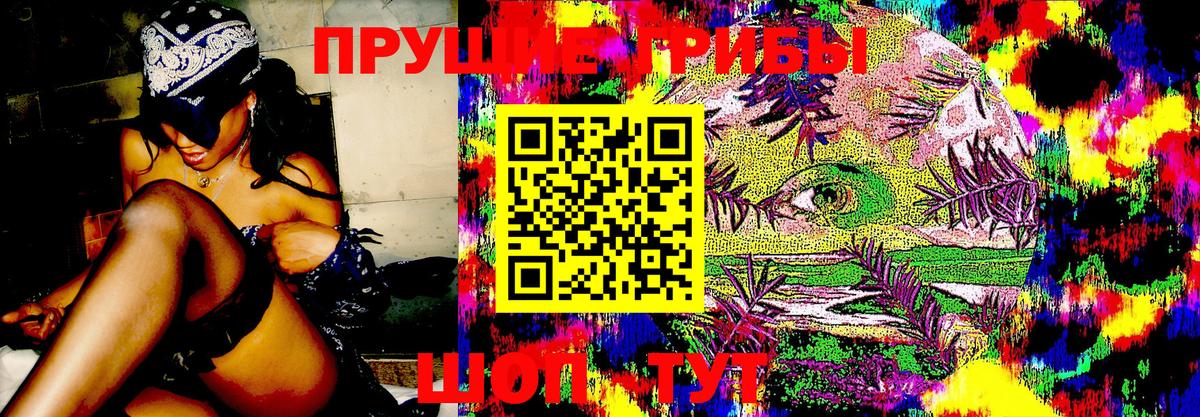 Галлюциногенные грибы Magic Shrooms Чернушка